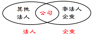 法人、企業(yè)、公司